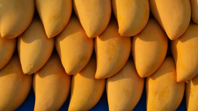 dynamic-dryers-international-mangoes