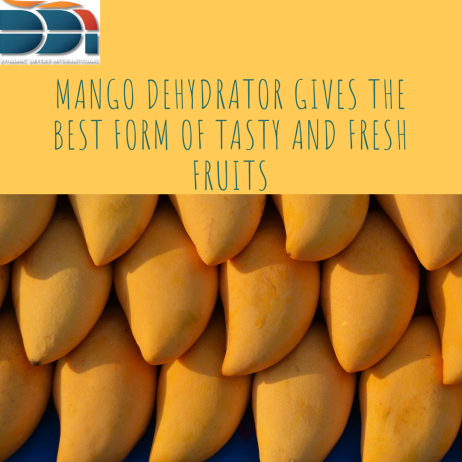 mango dehydrator gives the best form of tasty and fresh fruits