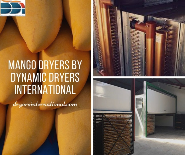 Mango Dryers By Dynamic Dryers International jpeg