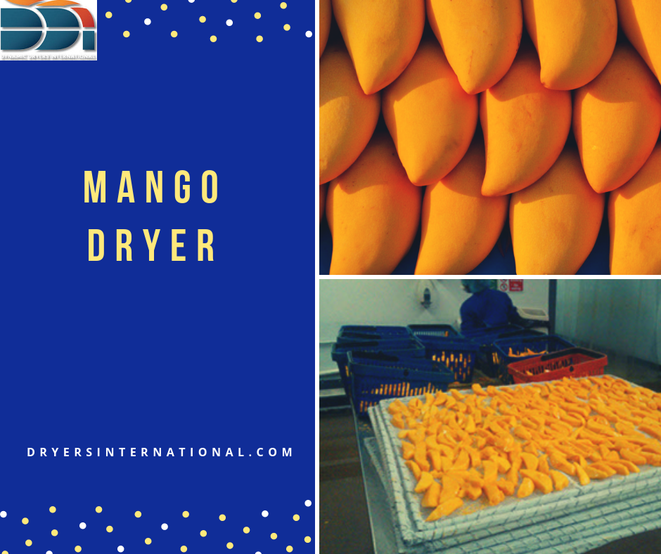 Mango Dryer 