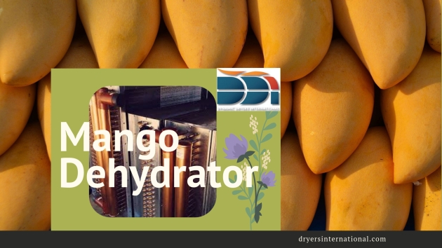 Mango Dehydrator 3
