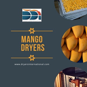 Mango Dryers