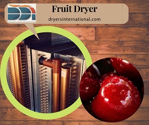 Fruit Dryers