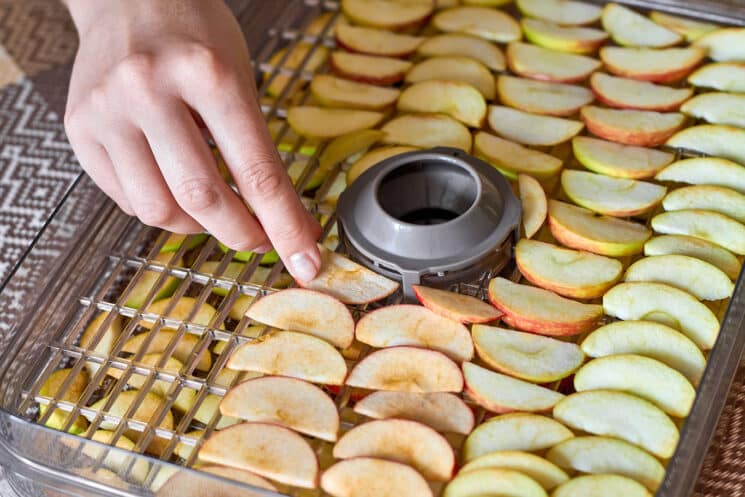 The Flavorful Revolution: Harnessing The Power Of Fruit Dryers